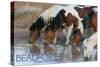 Beaufort, North Carolina - Ponies Drinking-Lantern Press-Stretched Canvas