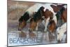 Beaufort, North Carolina - Ponies Drinking-Lantern Press-Mounted Art Print