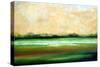 Beaufort South Carolina-Herb Dickinson-Stretched Canvas