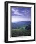 Beaujolais, Soane-Et-Loire, Burgundy, France-Doug Pearson-Framed Photographic Print