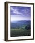 Beaujolais, Soane-Et-Loire, Burgundy, France-Doug Pearson-Framed Photographic Print