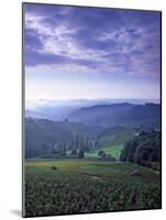 Beaujolais, Soane-Et-Loire, Burgundy, France-Doug Pearson-Mounted Photographic Print