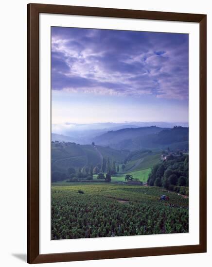 Beaujolais, Soane-Et-Loire, Burgundy, France-Doug Pearson-Framed Photographic Print