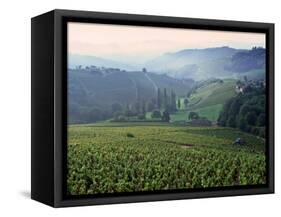 Beaujolais, Soane-Et-Loire, Burgundy, France-Doug Pearson-Framed Stretched Canvas