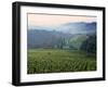 Beaujolais, Soane-Et-Loire, Burgundy, France-Doug Pearson-Framed Photographic Print