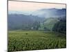 Beaujolais, Soane-Et-Loire, Burgundy, France-Doug Pearson-Mounted Photographic Print