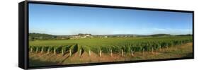 Beaujolais Vineyard, Jully-Les-Buxy, Saone-Et-Loire, Burgundy, France-null-Framed Stretched Canvas