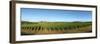 Beaujolais Vineyard, Jully-Les-Buxy, Saone-Et-Loire, Burgundy, France-null-Framed Photographic Print