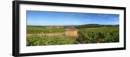 Beaujolais Vineyard, Saules, Saone-Et-Loire, Burgundy, France-null-Framed Photographic Print