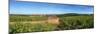 Beaujolais Vineyard, Saules, Saone-Et-Loire, Burgundy, France-null-Mounted Photographic Print