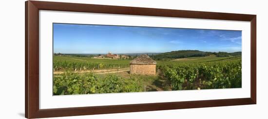 Beaujolais Vineyard, Saules, Saone-Et-Loire, Burgundy, France-null-Framed Photographic Print