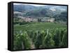 Beaujolais Vineyards, Beaujeau Village, Rhone Valley, France-David Hughes-Framed Stretched Canvas