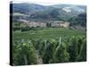 Beaujolais Vineyards, Beaujeau Village, Rhone Valley, France-David Hughes-Stretched Canvas