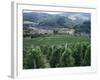 Beaujolais Vineyards, Beaujeau Village, Rhone Valley, France-David Hughes-Framed Photographic Print