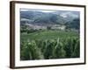 Beaujolais Vineyards, Beaujeau Village, Rhone Valley, France-David Hughes-Framed Photographic Print