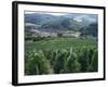 Beaujolais Vineyards, Beaujeau Village, Rhone Valley, France-David Hughes-Framed Photographic Print