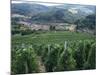 Beaujolais Vineyards, Beaujeau Village, Rhone Valley, France-David Hughes-Mounted Photographic Print