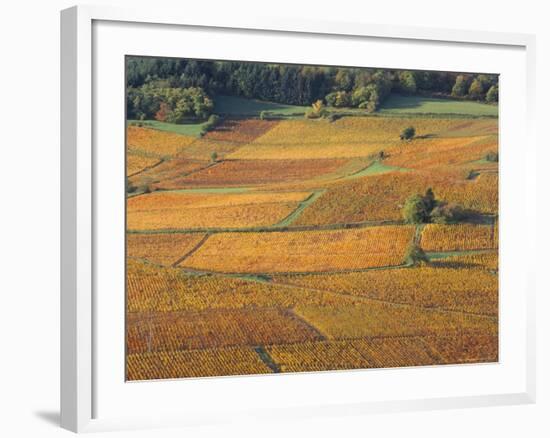 Beaujolais Vineyards Near Beuajeu, Rhone Alpes, France-Michael Busselle-Framed Photographic Print