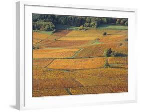 Beaujolais Vineyards Near Beuajeu, Rhone Alpes, France-Michael Busselle-Framed Photographic Print