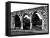 Beaulieu Abbey-Fred Musto-Framed Stretched Canvas