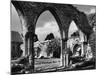Beaulieu Abbey-null-Mounted Photographic Print