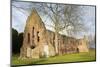 Beauly Priory, Scotland-johnbraid-Mounted Photographic Print