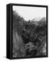 Beaumont Hamel 1916-Robert Hunt-Framed Stretched Canvas