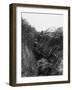 Beaumont Hamel 1916-Robert Hunt-Framed Photographic Print