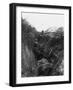 Beaumont Hamel 1916-Robert Hunt-Framed Photographic Print