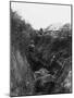 Beaumont Hamel 1916-Robert Hunt-Mounted Photographic Print