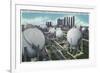 Beaumont, Texas - General View of the World's Largest Petroleum Butadiene Plant, c.1948-Lantern Press-Framed Art Print