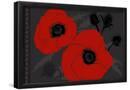 Essential Black