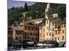 Beautifl Vista, Portofino, Italy-Bill Bachmann-Mounted Photographic Print