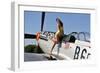 Beautiful 1940's Style Pin-Up Girl Posing with a P-51 Mustang-null-Framed Photographic Print
