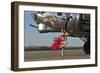 Beautiful 1940's Style Pin-Up Girl Standing in Front of a B-17 Bomber-null-Framed Photographic Print