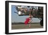 Beautiful 1940's Style Pin-Up Girl Standing in Front of a B-17 Bomber-null-Framed Photographic Print