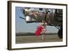 Beautiful 1940's Style Pin-Up Girl Standing in Front of a B-17 Bomber-null-Framed Photographic Print