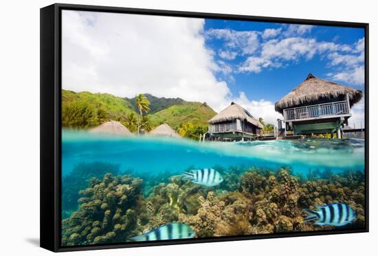 Beautiful above and Underwater Landscape of Moorea Island in French Polynesia-BlueOrange Studio-Framed Stretched Canvas