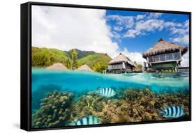 Beautiful above and Underwater Landscape of Moorea Island in French Polynesia-BlueOrange Studio-Framed Stretched Canvas