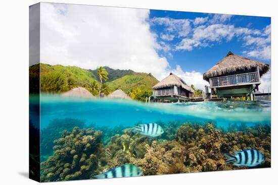 Beautiful above and Underwater Landscape of Moorea Island in French Polynesia-BlueOrange Studio-Stretched Canvas