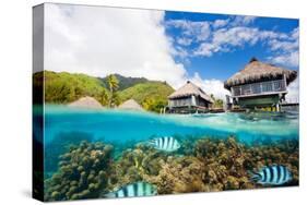 Beautiful above and Underwater Landscape of Moorea Island in French Polynesia-BlueOrange Studio-Stretched Canvas