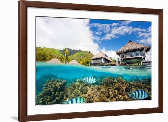 Beautiful above and Underwater Landscape of Moorea Island in French Polynesia-BlueOrange Studio-Framed Photographic Print