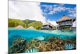 Beautiful above and Underwater Landscape of Moorea Island in French Polynesia-BlueOrange Studio-Mounted Photographic Print