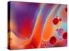 Beautiful Abstract Colorful Background, Oil on Water Surface-Abstract Oil Work-Stretched Canvas