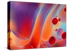 Beautiful Abstract Colorful Background, Oil on Water Surface-Abstract Oil Work-Stretched Canvas