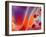 Beautiful Abstract Colorful Background, Oil on Water Surface-Abstract Oil Work-Framed Photographic Print