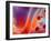 Beautiful Abstract Colorful Background, Oil on Water Surface-Abstract Oil Work-Framed Photographic Print