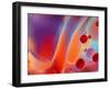 Beautiful Abstract Colorful Background, Oil on Water Surface-Abstract Oil Work-Framed Photographic Print