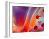 Beautiful Abstract Colorful Background, Oil on Water Surface-Abstract Oil Work-Framed Photographic Print