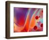 Beautiful Abstract Colorful Background, Oil on Water Surface-Abstract Oil Work-Framed Photographic Print